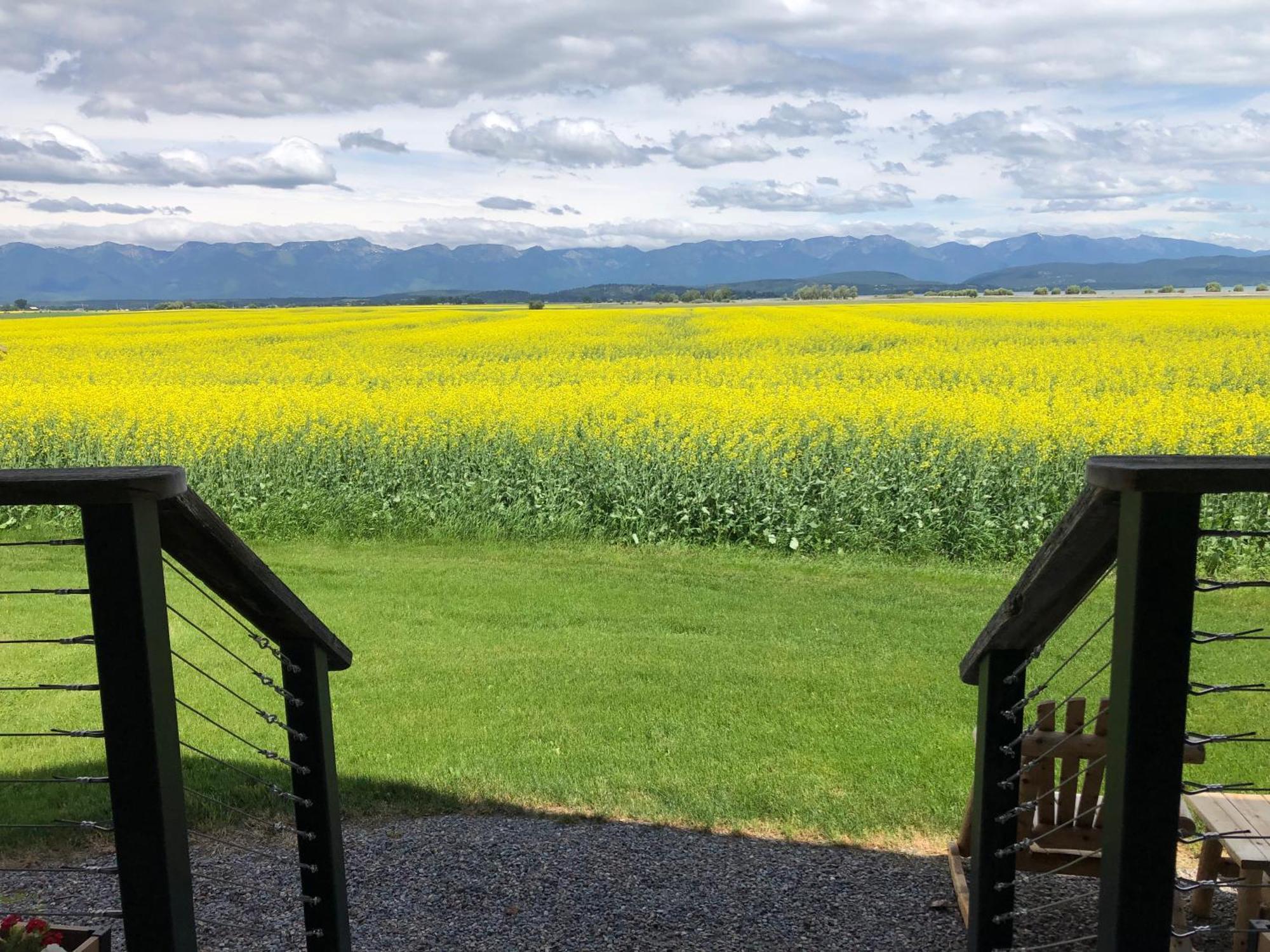 New Cabin With Spectacular Views Of Flathead Lake. Somers Exterior photo